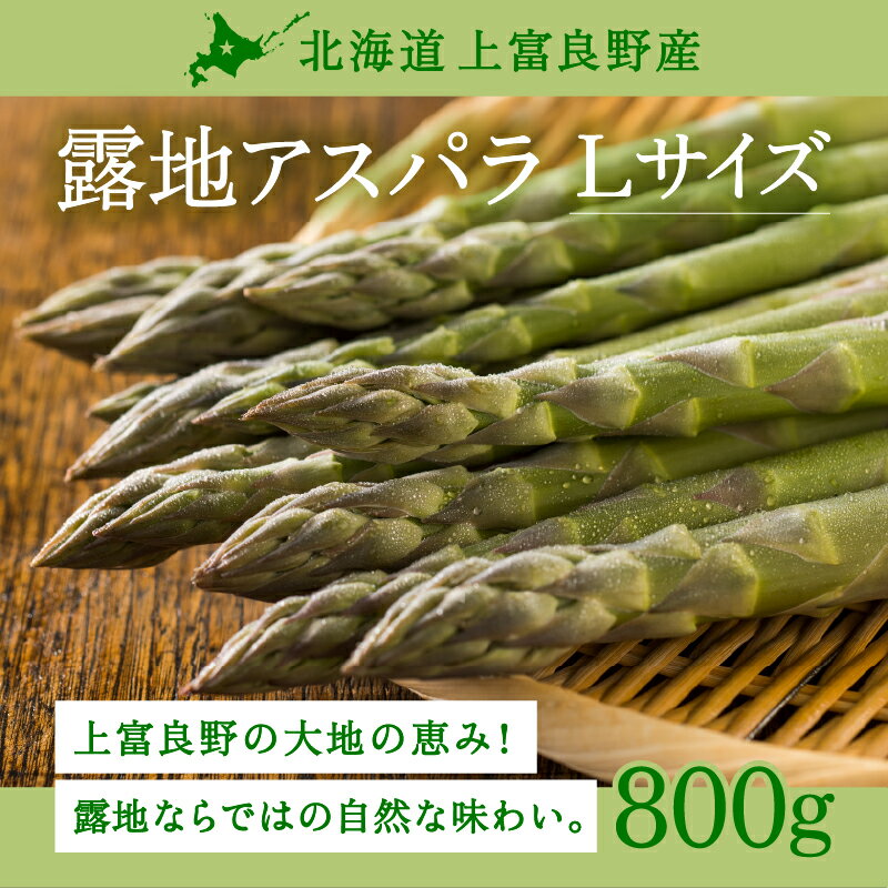 【ふるさと納税】【令和8年産】先行予約 北海道 上富良野産 露地 グリーン アスパラガス Lサイズ 800g アスパラ グリーンアスパラ 上富良野町 野菜 やさい 　お届け：2026年5月中旬～6月中旬まで
