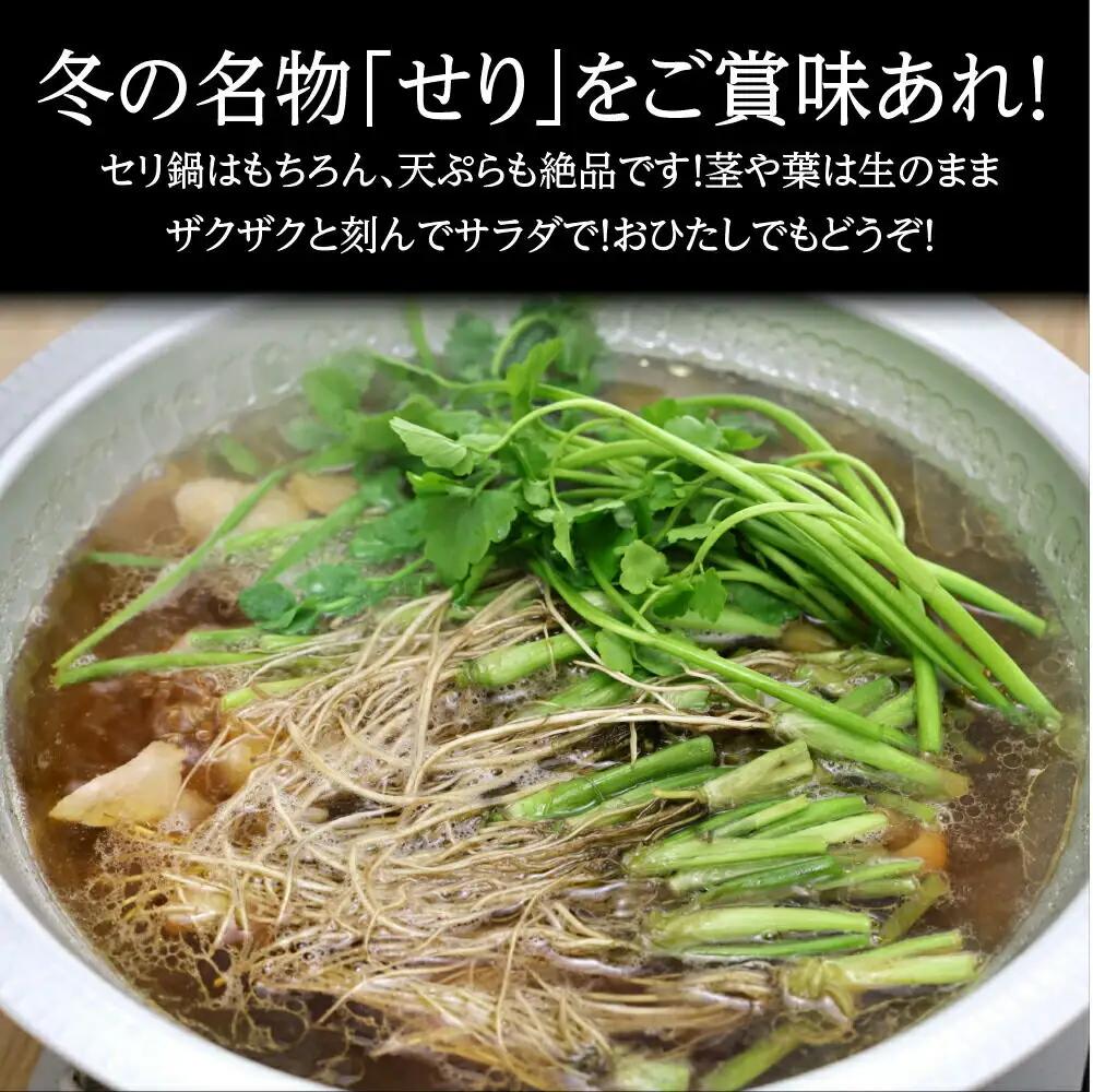 【期間限定】根が魅力の仙台龍神せり鍋出汁セット（セリ鍋用出汁・スープ付）(400ｇ)3～4人前