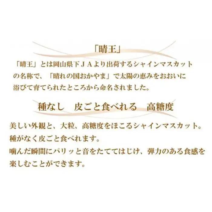 ぶどう 2026年 シャインマスカット 晴王 約600g×2房  葡萄  岡山県産 国産 フルーツ 果物 ギフト | シャインマスカット
