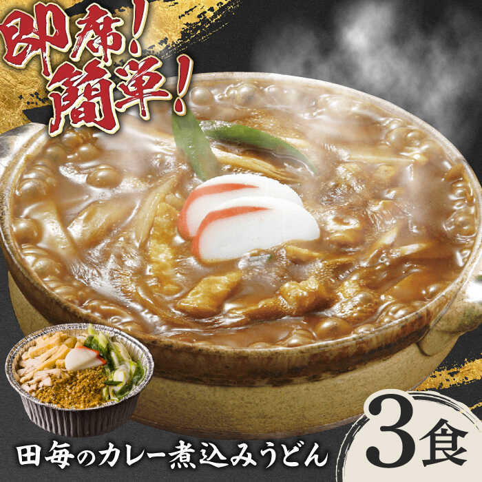 【ふるさと納税】うどん 岐阜の味 田毎のカレー煮込みうどんセット 即席 カンタン 麺 うどん カレーうどん 煮込みうどん カレーライス カレー 冷凍 スパイス 具材付き 鍋不要 水不要 老舗の味 名店 夜食 ランチ 惣菜 ギフト プレゼント 人気 岐阜市/ラボレムス[ANFP001]