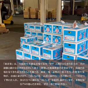 松茸 三好市産 200g 2～5本 秋の味覚 まつたけ マツタケ 松茸 松茸 松茸 松茸