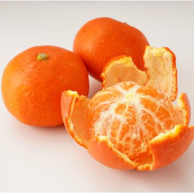 ふるさと納税 さぬき市 【発送月固定定期便】さぬき市厳選フルーツ定期便全3回 |  | 02