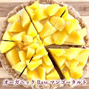 【定期便6ヶ月】 オーガニック スイーツ 6種類 ケーキ タルト 