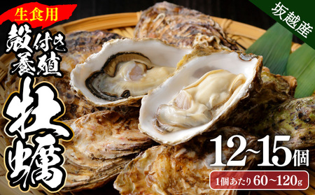 坂越牡蠣 殻付き12から15個 牡蠣[ak002]
