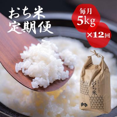 ふるさと納税 越知町 「おち米」定期便　(5kg × 12回)　産直　白米 | 