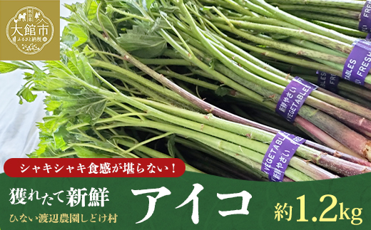 アイコ（ミヤマイラクサ） 約1200g 秋田の山菜【180P3203】