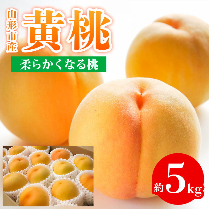 【ふるさと納税】山形市産 黄桃 秀品 5kg (12～20玉) 柔らかくなる桃 【令和7年産先行予約】FS24-759