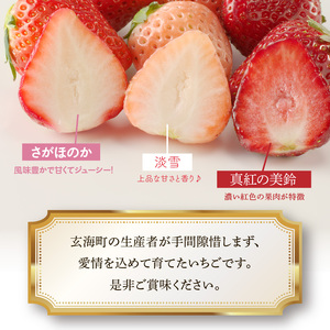★予約受付★杉山いちご農園 玄海町産いちご ミックス定期便｜いちご 定期便 いちご定期便 いちご 定期便 いちご定期便【Z049】