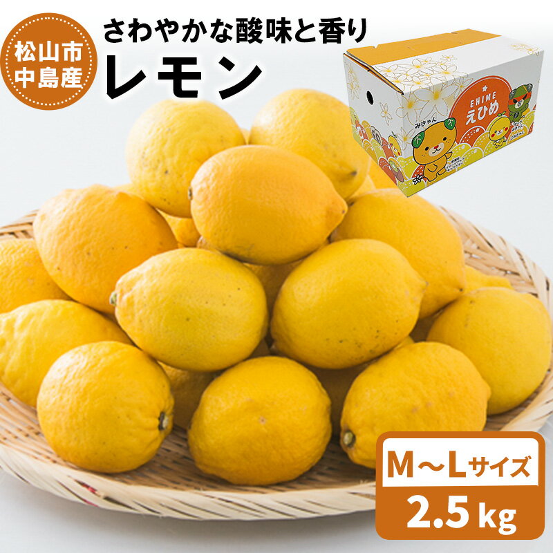 【ふるさと納税】 【11月上旬から発送】 中島産 レモン M～Lサイズ　2.5kg | 先行予約 愛媛 レモン 柑橘 果物 くだもの フルーツ お取り寄せ グルメ 期間限定 数量限定 人気 おすすめ 愛媛県 松山市 フジ・アグリフーズ