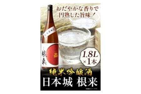日本酒 日本城 根来 純米吟醸酒 1.8L 酒のねごろっく 《90日以内に出荷予定(土日祝除く)》日本酒日本酒