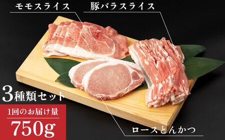 【12回定期便】SPF豚 やっちゃおいしか芳寿豚バラエティセット 計750g / 豚肉 定期便 ほうじゅとん SPF豚 spfポーク 小分け バラ しゃぶしゃぶ / 南島原市 / 芳寿牧場 [SEI0