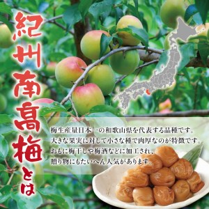つぶれ梅干し 紀州南高梅 うす塩【ハチミツ入】 500g 塩分10%【nky017-105k】