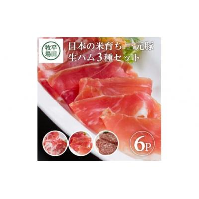 ふるさと納税 酒田市 【平田牧場】三元豚◆生ハム3種セット 　計6パック(生ハム、生ハムコッパ、サラミ 各2パック)