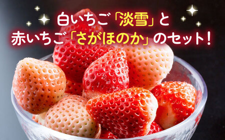 【先行予約】淡雪・さがほのか 紅白いちごセット各220g / いちご いちご 白いちご イチゴ 苺 フルーツ 果物 先行予約 / 佐賀県 / 岸川農園 [41ASAG043]