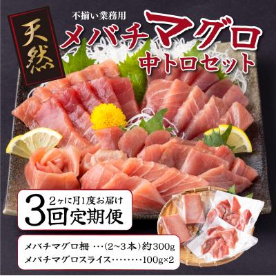ふるさと納税 室戸市 【定期便 全3回 隔月 お届け】天然メバチマグロ中トロセット500g