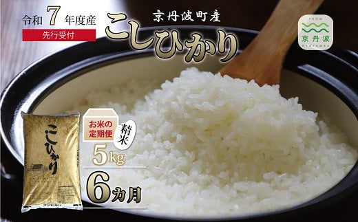 【6回定期便】 《 新米先行予約 》2025年10月発送開始 こしひかり 京丹波町産 5kg 6カ月定期便 合計30kg 令和7年産米 精米 お米 京都 丹波 コシヒカリ 特A獲得  農家直送 ※北海道・東北・沖縄・その他離島は配送不可 [048OK001R]
