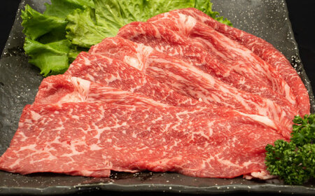 【全3回定期便】 熊本県産 A5等級 黒毛和牛 和王 食べ比べ 牛肉 和牛 国産【帝神志方ミート 株式会社】[AYCH055]