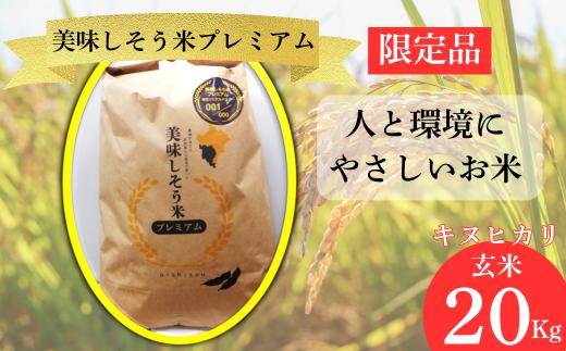 I11　数量限定  キヌヒカリ 玄米　20Kg   美味しそう米 プレミアム 令和7年産 新米　　【 限定 数量限定 令和7年産 新米 お米 コメ 玄米 きぬひかり 兵庫県 宍粟市 】