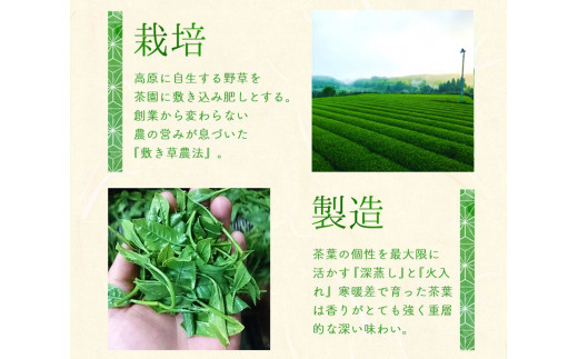 吉無田高原あさのやぶ茶セット(100g×5本入り) お茶乃のぐち《30日以内に出荷予定(土日祝除く)》 熊本県 御船町_イメージ3