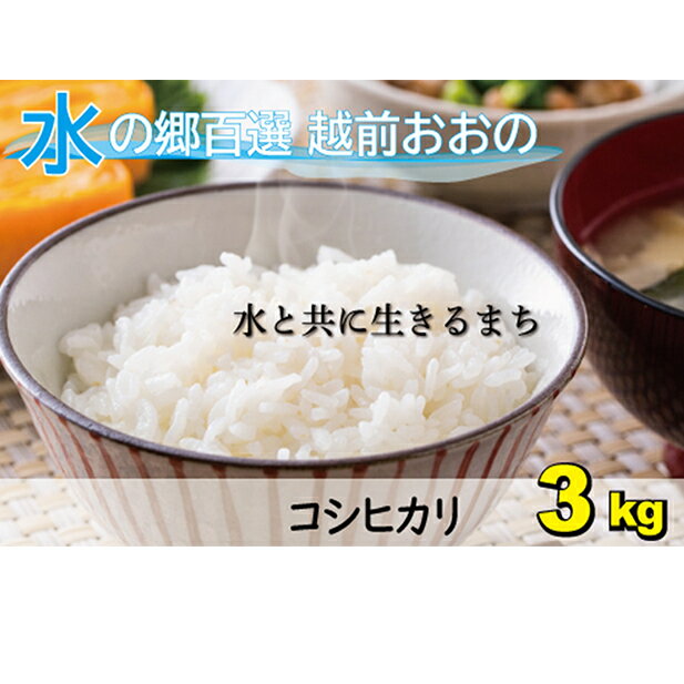 【ふるさと納税】【令和7年産 新米】こしひかり（福井県大野市産）エコファーマー（白米）米3kg【お米・コシヒカリ】[A-003004]