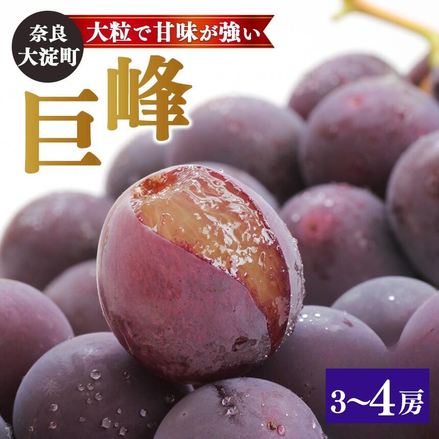 【ふるさと納税】巨峰（3〜4房）| ※8月下旬より発送 果物 くだもの フルーツ ぶどう 葡萄 奈良県 吉野 大淀町