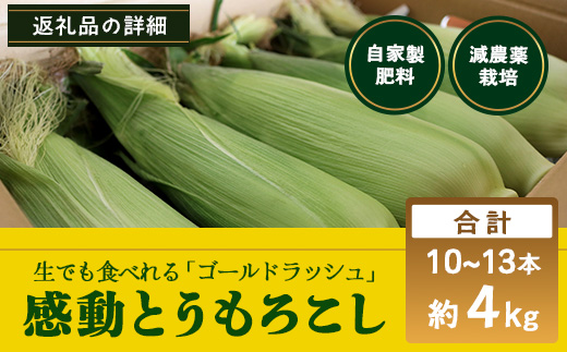 【数量限定】 【先行予約・2026年5月～】感動とうもろこし ( 約4kg / 10～13本 ) FR-521 ｜野菜 やさい とうもろこし ゴールドラッシュ トウモロコシ 新鮮 産地直送 先行予約 