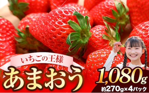 
										
										★2025年出荷分★あまおう 大容量 あまおう いちご 1080g 送料無料 【着日指定不可】《3月中旬-4月末頃出荷予定》ふるさと納税 いちご 福岡県 鞍手郡 【鞍手町】---fn_ckrama_bc3_25_9000_1080g---
									