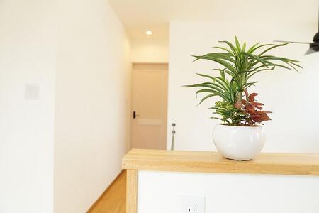 人工観葉植物　ユッカ寄せ植えジャングルポット