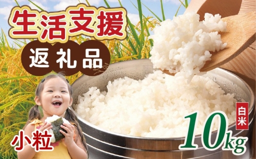 【 訳あり 】 近江ブレンド米 小粒 白米 10kg