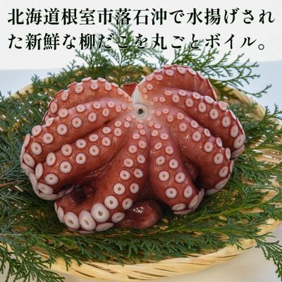 ふるさと納税 根室市 【北海道根室産】柳蛸ボイル8杯(計8.5kg) E-20005 |  | 01