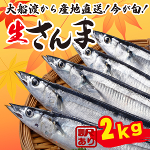 訳あり ＼ さんま ／ 2kg 冷蔵