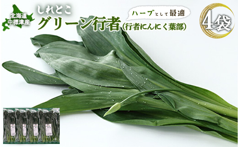 【ハーブとして最適】行者にんにくグリーン行者×4袋 （葉部） | オンライン 申請 ふるさと納税 北海道 中標津 ハーブ 香草 行者ニンニク にんにくの芽 山菜 山の幸 野菜 疲労回復 健康効果 長寿 体力増強 長期保存 ダイエット効果 焼肉 卵とじ トッピング おひたし お取り寄せ 北海道 中標津町 中標津【20020】