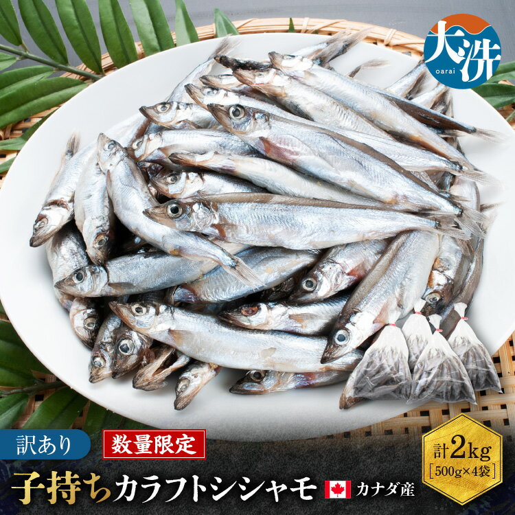 【数量限定！】 子持ち カラフトシシャモ 2kg (500g×4袋) 訳アリ シシャモ ししゃも カラフトししゃも 大洗 規格外 訳あり わけあり 傷 すぐ発送