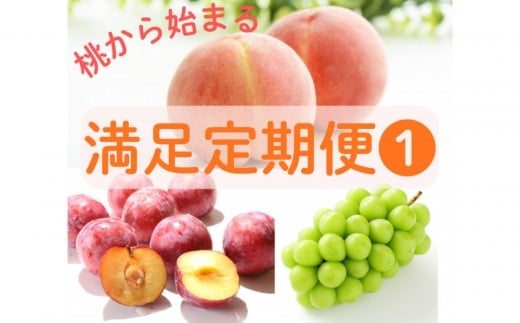 2026年度発送【定期便 ３回】「もも」から始まる　満足定期便 ＊１