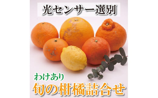 家庭用 柑橘詰合せ2kg+60g（傷み補償分）【訳あり・わけあり】【有田の春みかん詰め合わせ・フルーツ詰め合せ・オレンジつめあわせ】【光センサー選別】【ikd184】