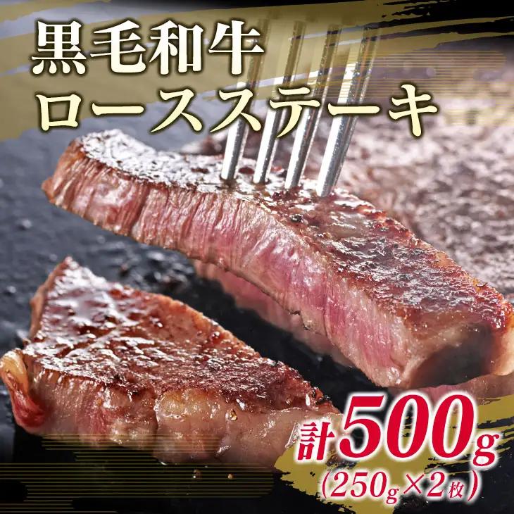 数量限定 黒毛和牛 ロース ステーキ 250g × 2枚 豚肉 ハンバーグ 100g × 4個 合計900g_DA41-25