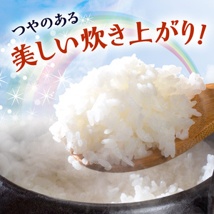BB6223_ 和歌山県産 にじのきらめき 20kg(5kg×4)（2025年産)