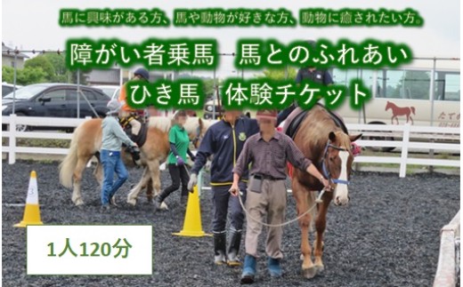 
            障がい者乗馬　馬とのふれあい　ひき馬　体験チケット　1名様 120分
          