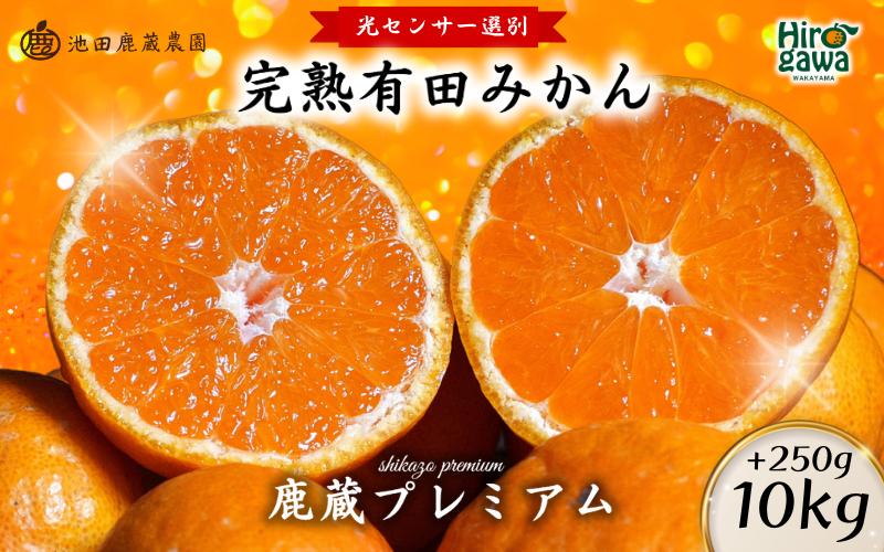 
                  鹿蔵の 有田 みかん プレミアム 10kg+250g(傷み補償分) 光センサー 選果 / 温州みかん 有田みかん 甘い 高級 厳選 和歌山 柑橘 ※11月中旬〜1月下旬に順次発送 ※北海道・沖縄・離島への配送不可 【ikd004-prem-10B】
                