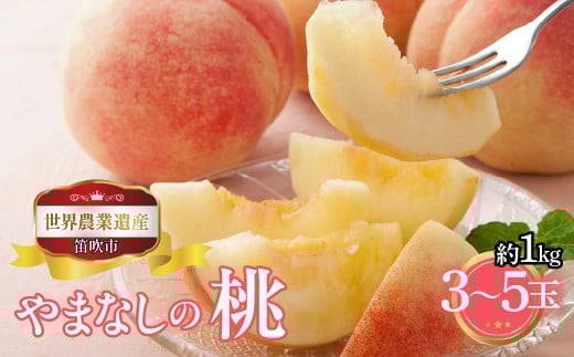 【2026年発送★先行予約】山梨県笛吹市産　桃　約１ｋｇ　3玉～5玉 223-012-26y
