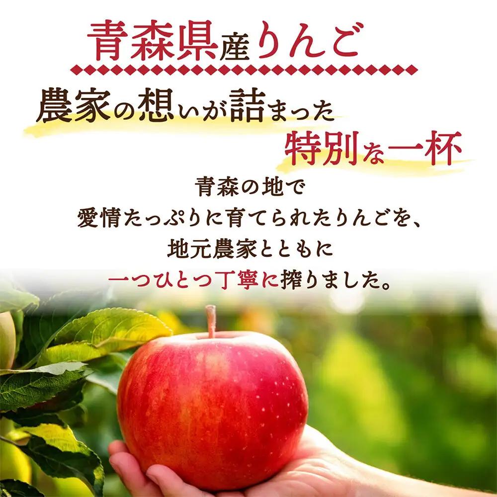 りんごジュース 1L×2本 ストレート果汁100％ 青森県産 弘前市