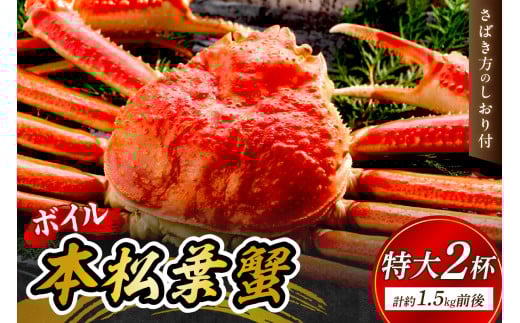 【 国産日本海の松葉蟹をボイルでお届け！ 】【先行予約】ボイルでお届け。ボイル本松葉蟹 特大2杯（タグ付き）＜12月10日～2月末までのお届け＞ 国産 カニ 魚介類 海の幸 年内配送 年末年始配送 【097_0687】
