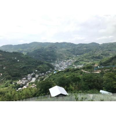 ふるさと納税 広川町 【国産】農家直送!　紀州レモン　約3kg |  | 02