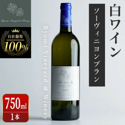 【ふるさと納税】ラセリー美 ソーヴィニヨンブラン 750ml×1本【1599866】