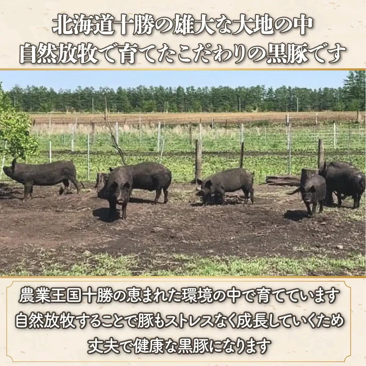 【定期10ヶ月】鹿追産 自然放牧黒豚しゃぶしゃぶセット SKN030