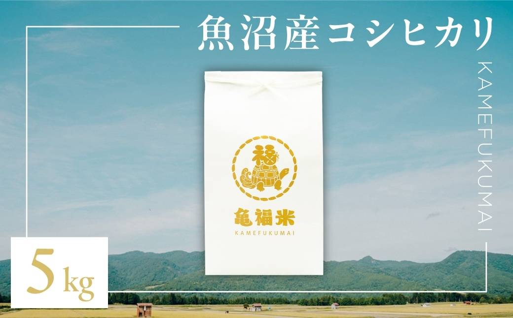 令和7年産 極上 魚沼産コシヒカリ「亀福米」5kg (特別栽培米) 新潟県 津南町 株式会社亀福 155399-002