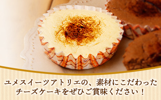 アトリエチーズ10個入り【チーズケーキ ケーキ クリームチーズ 美味しい おやつ お菓子 スイーツ ギフト 贈り物 おもてなし ご自宅用 島根県 安来市】【価格変更】【17-YA-07】