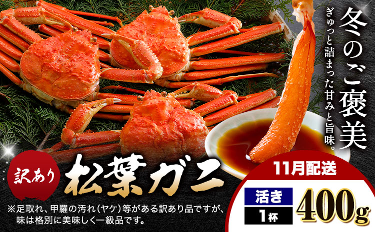 【ふるさと納税】カニ 松葉ガニ 訳あり 400g 活き 1杯《11月発送》 SOO合同会社 鳥取県 八頭町 送料無料  蟹 かに 姿 鍋 ズワイガニ  ズワイ蟹 ボイル 松葉ガニ 訳アリ