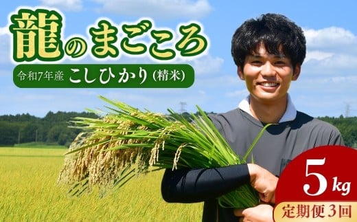 ＜3ヵ月定期便＞【令和7年産】龍ケ崎のコシヒカリ 5kg(5kg×1袋) ❙ こしひかり お米 米 こめ 白米 精米 冷めてもおいしい 美味しい こだわり いばらきみどり認定 おにぎり 茨城県 龍ケ崎市産