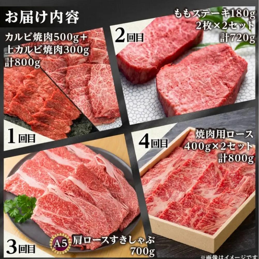 大容量 《まるごと定期便》12回 飛騨牛三昧 大容量 [S600]